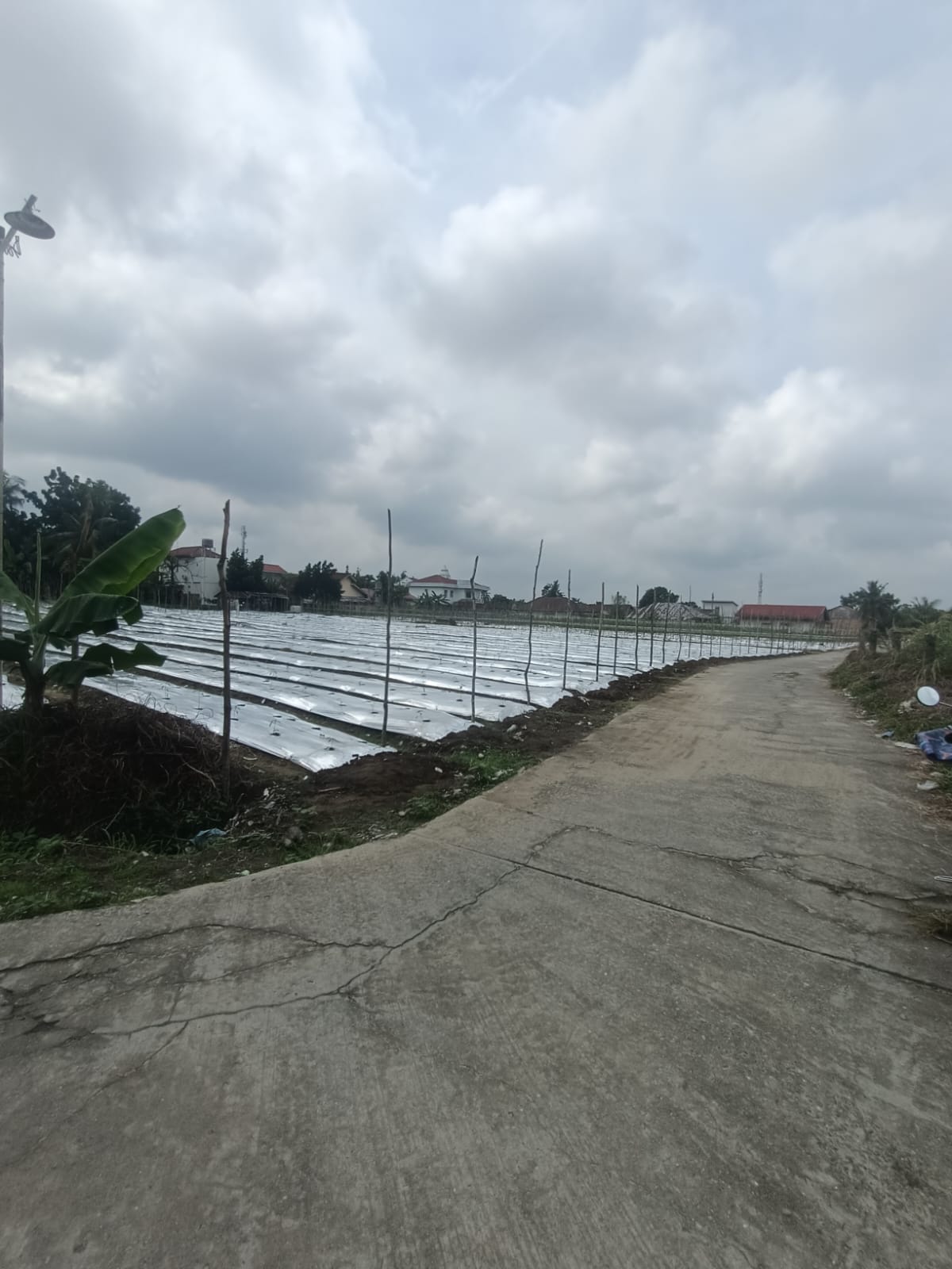 Rumah