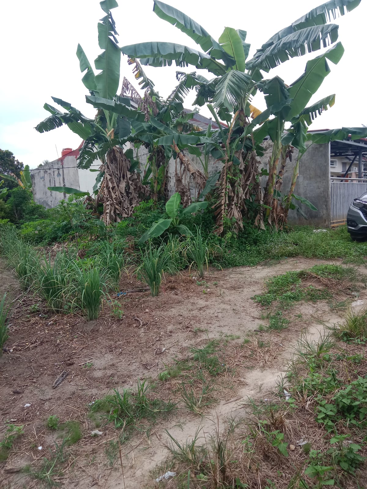 Rumah